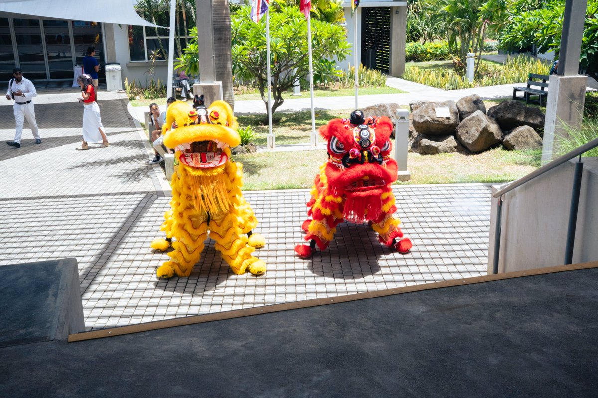 MiddlesexMru's tweet photo. 🧧 𝐂𝐞𝐥𝐞𝐛𝐫𝐚𝐭𝐢𝐧𝐠 𝐜𝐮𝐥𝐭𝐮𝐫𝐞 𝐚𝐧𝐝 𝐭𝐫𝐚𝐝𝐢𝐭𝐢𝐨𝐧 𝐨𝐧 𝐜𝐚𝐦𝐩𝐮𝐬 🦁

Our campus came alive today with a traditional Lion Dance performance as we celebrated Chinese New Year with our Middlesex University Mauritius community.

#ChineseNewYear #LunarNewYear https://t.co/Cb4dexZDk1