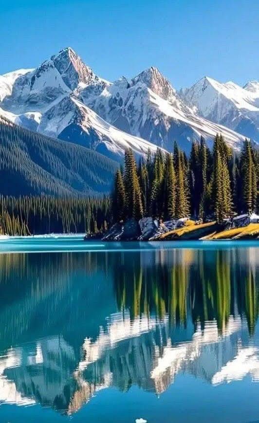 DisperseStar1's tweet image. Realistically speaking;

“A life well lived isn’t measured by how few mistakes you made. 
It’s measured by how little you lied to yourself about them:”——-

#LifeSciences #lifegoals