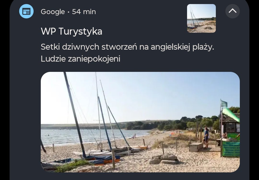 Murzyny atakują 😱