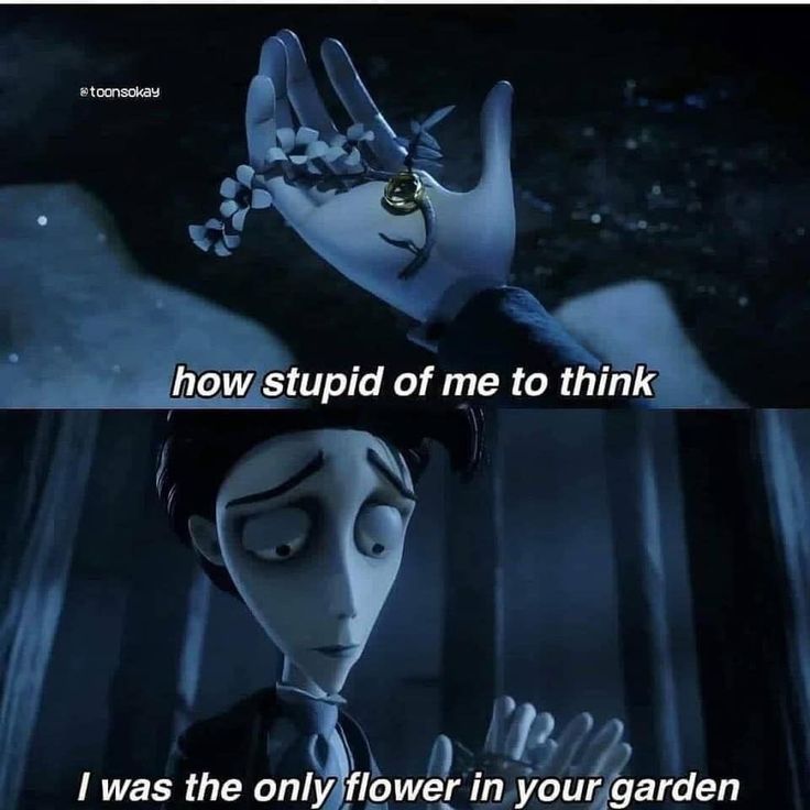 _Angel_broken's tweet image. 