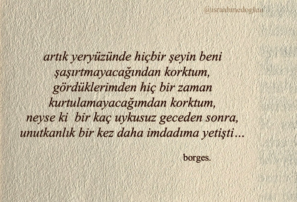 canım borges.