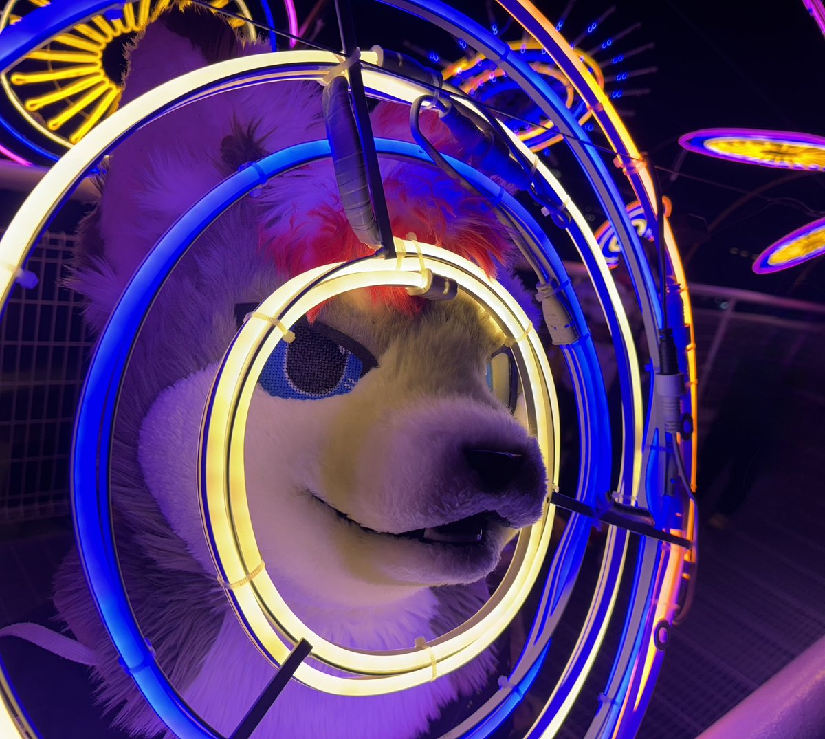 人類，你渴望當椅子嗎？🪑

#FursuitFriday