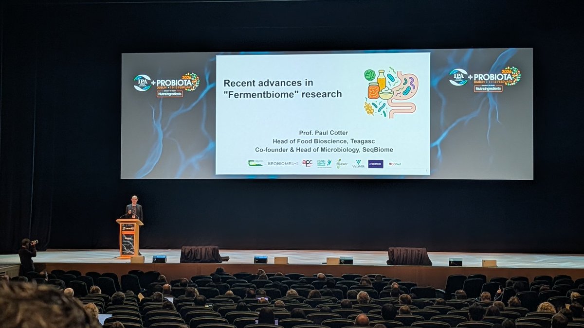 Katie Guzzetta 🌻 tweet media