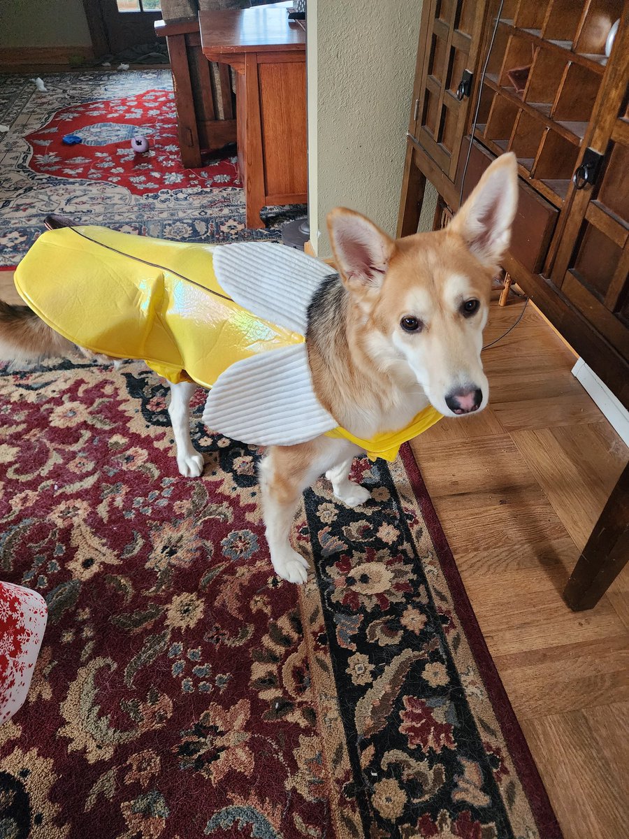 Molly Nicholson tweet media