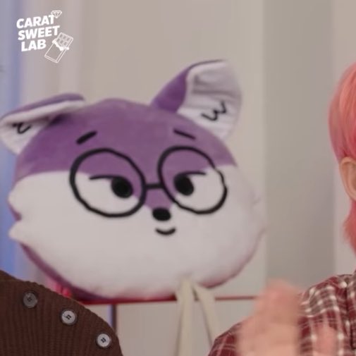 ウォヌさんいる😢