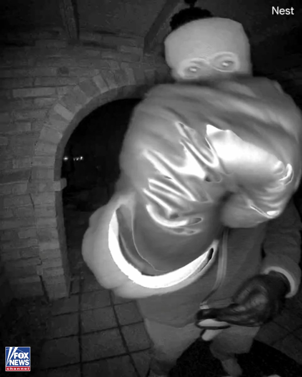 FoxNews's tweet image. SUSPECT DETAILS: The FBI released a description of the suspect in Nancy Guthrie’s disappearance, describing him as approximately 5'9" to 5'10" tall with an average build.  

The suspect was seen carrying a black 25-liter "Ozark Trail Hiker Pack" backpack, according to the bureau.…