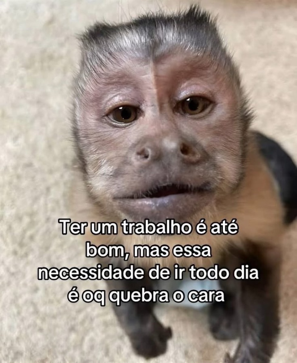 xotasagrada's tweet image. 