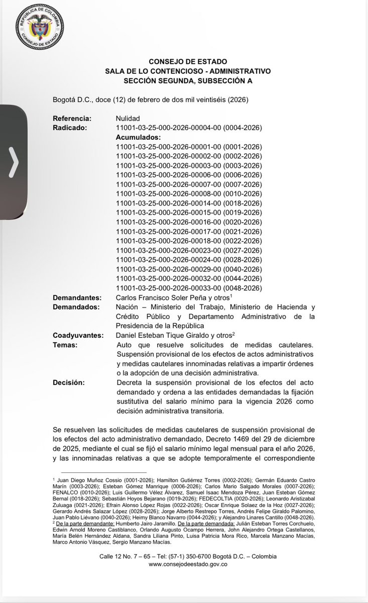¿A quién representa los demandantes del salario mínimo vital ante el Consejo de Estado?