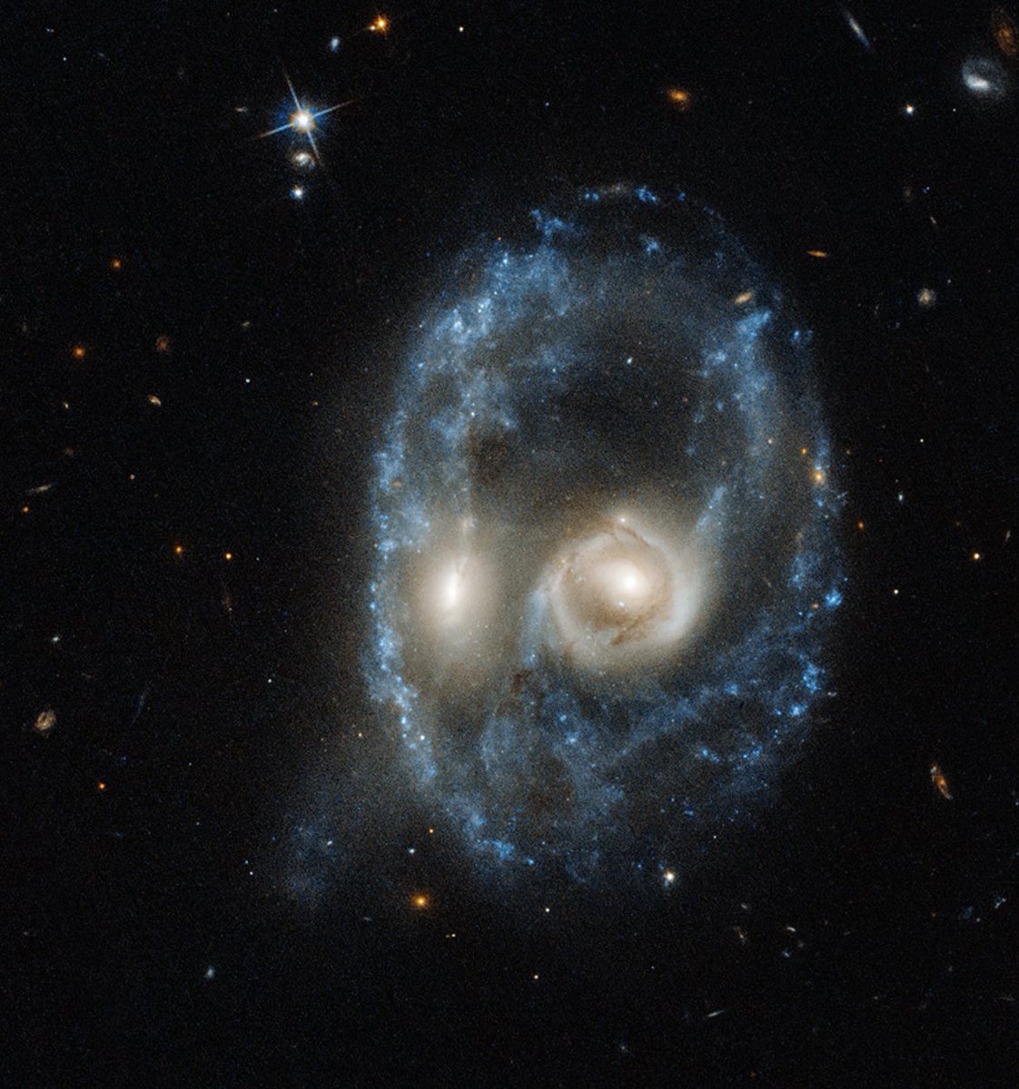 rattledsnake tweet media