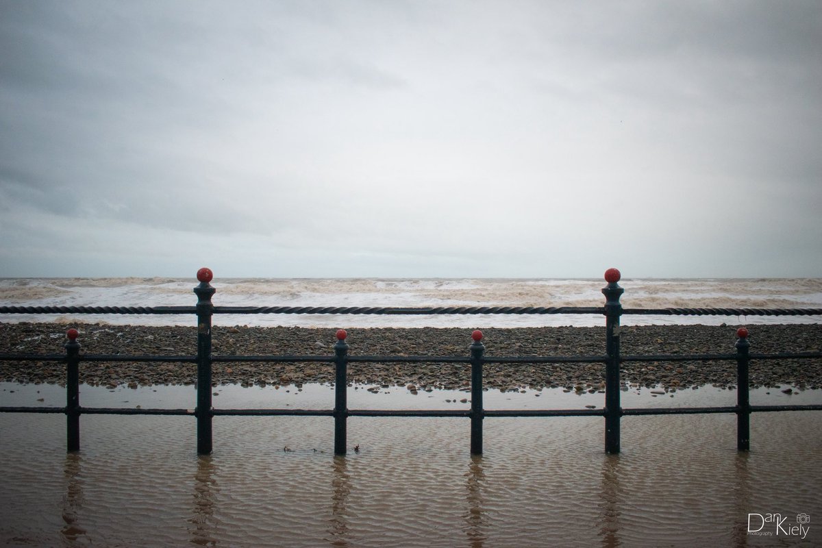 Dan Kiely Photography tweet media