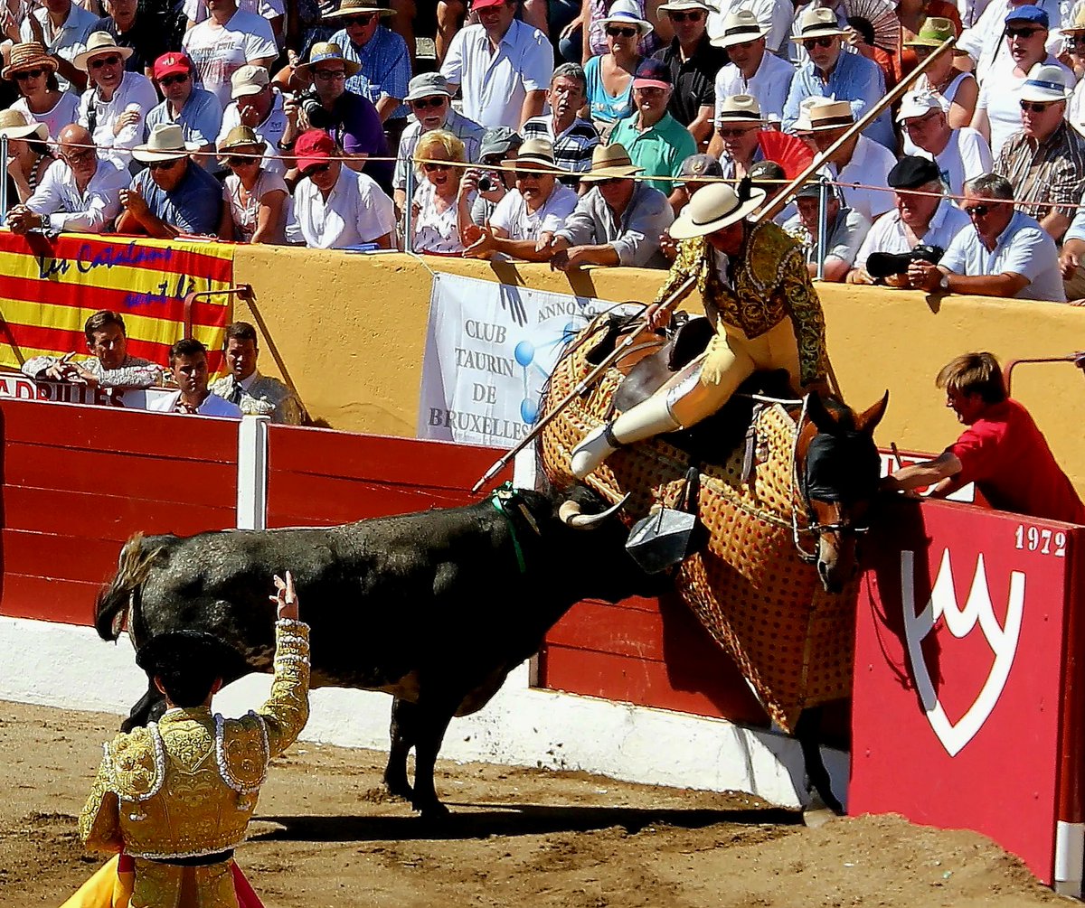 El tercio de varas no sólo tiene su función, también revela la naturaleza fiera del toro de lidia bajo cuyo andamiaje se sustenta éticamente el ritual de la corrida de toros que culmina con su sacrificio. Y aún hoy, tan depauperado, deja a veces imágenes que así nos lo recuerdan.
