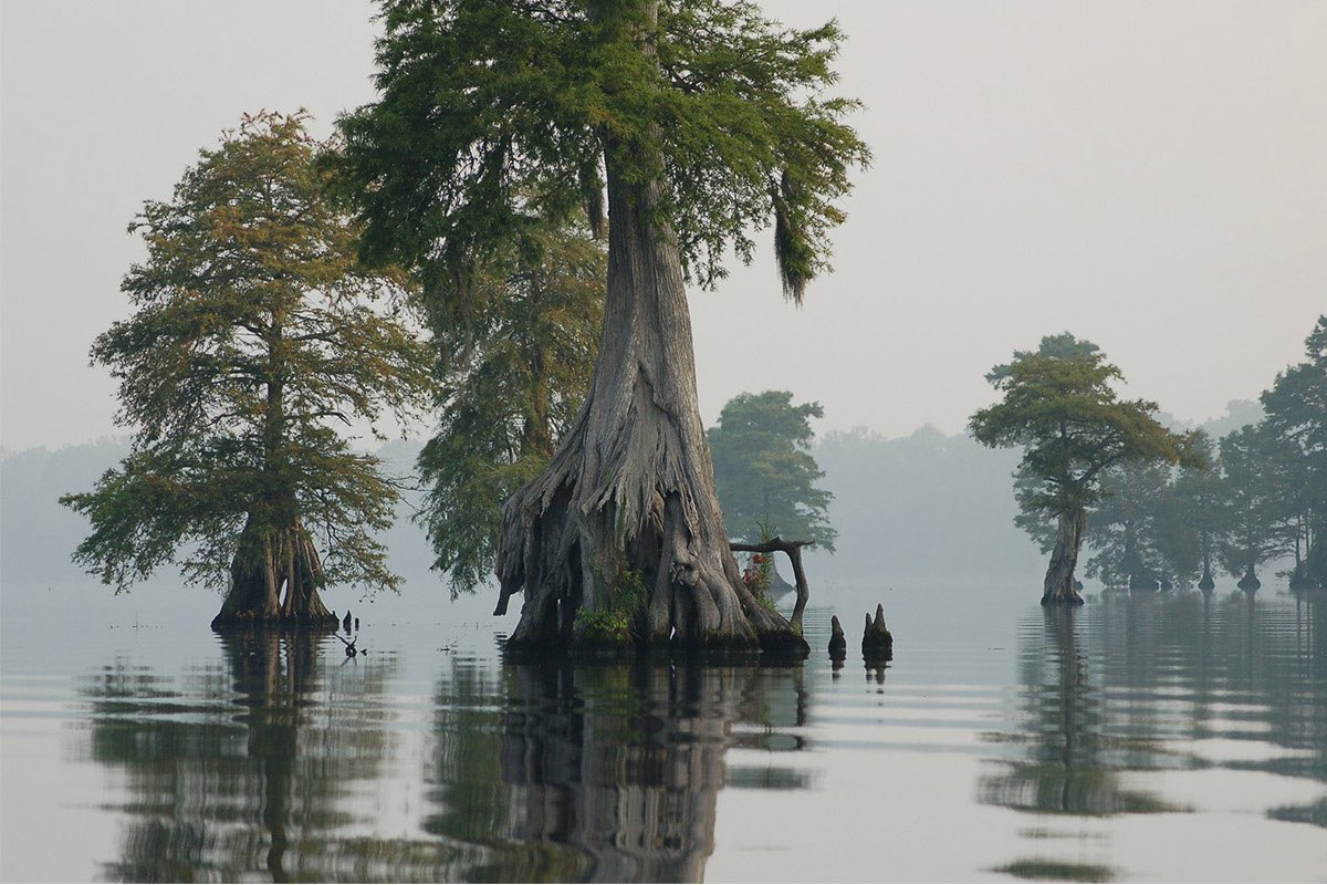 MoundLore tweet media