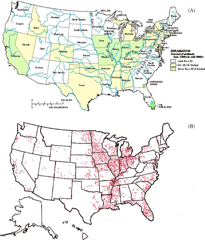 MoundLore tweet media