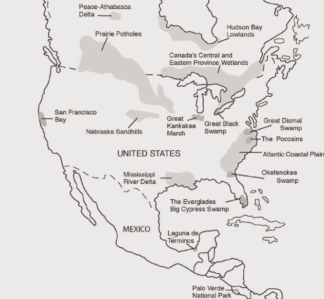 MoundLore tweet media