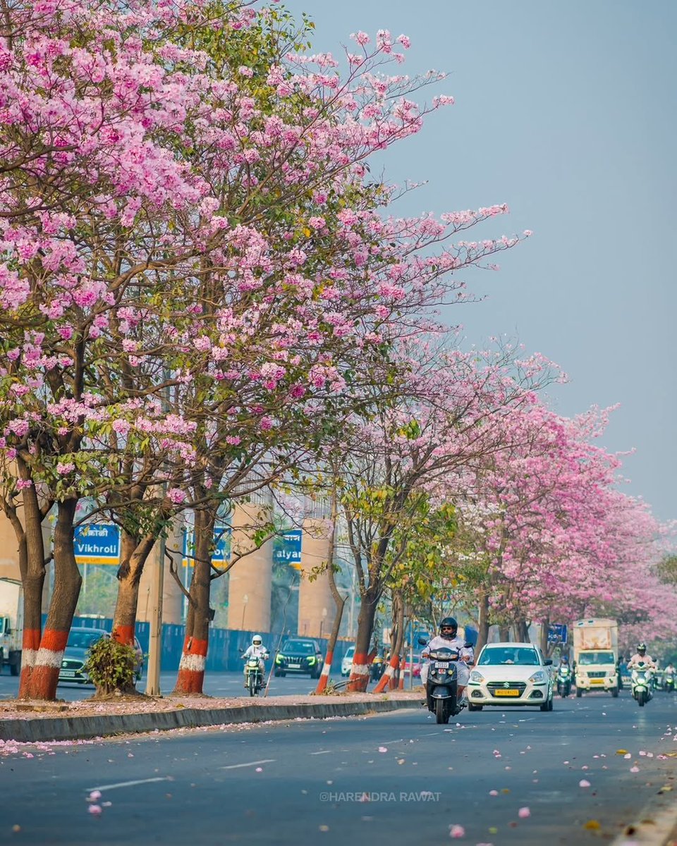 Guess the place, this is somewhere in India.