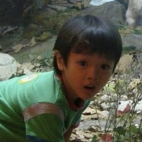 두부 (@dobu_ub) on Twitter photo 