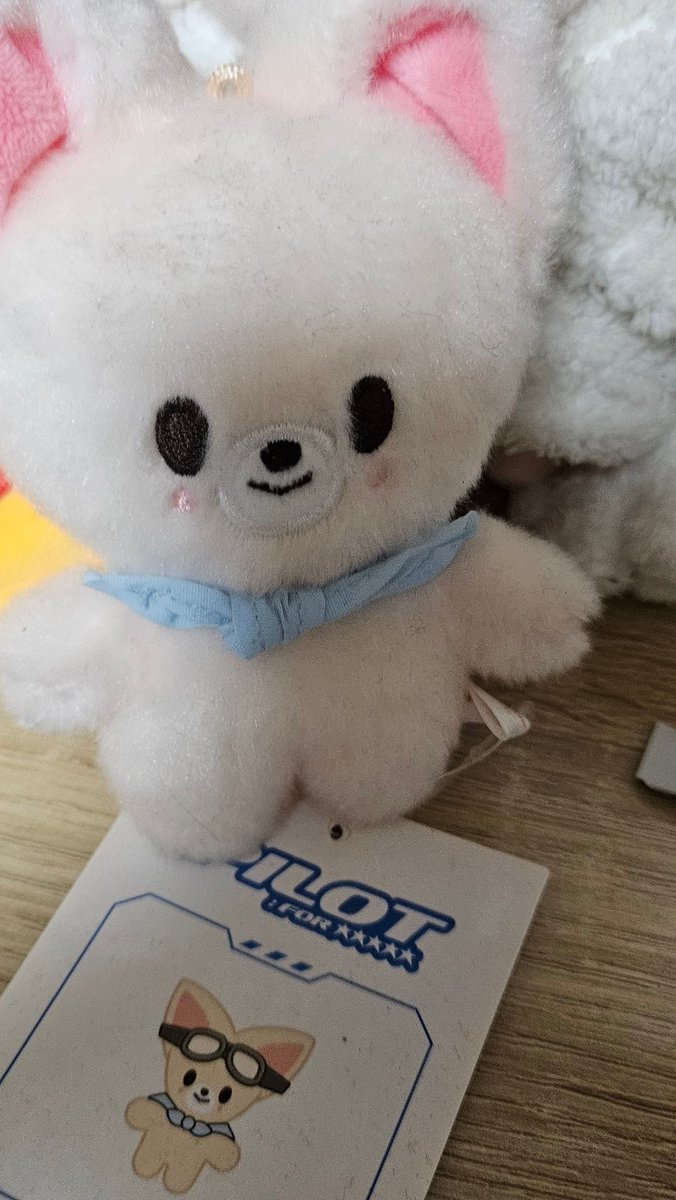 Feling_know's tweet photo. 안녕하세요 깅들 저 이사가야합니다 제발 사주세요
굿즈 개많습니다 버려질위기에요
일괄 3에 구침봉과 스키즈포카와 스키주와 기타 공굿 및 비공굿 처분합니다
5년간 오프뛰면서 받은 나눔들과 비공굿 공굿 생카굿즈 다 드립니다
제발..사주세요..
만원만추가하면 매니악 DVD넣어드립니다 https://t.co/5hgQKe06Bg