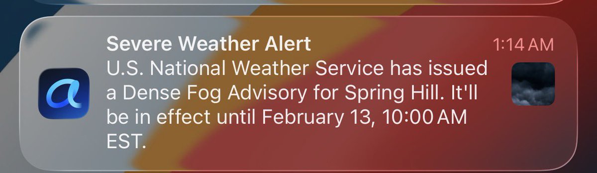 OriginaldoBo tweet media