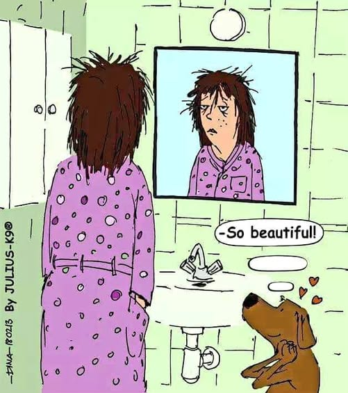 Papa Woof und Krampus und Bleaken (@woofknight) on Twitter photo 