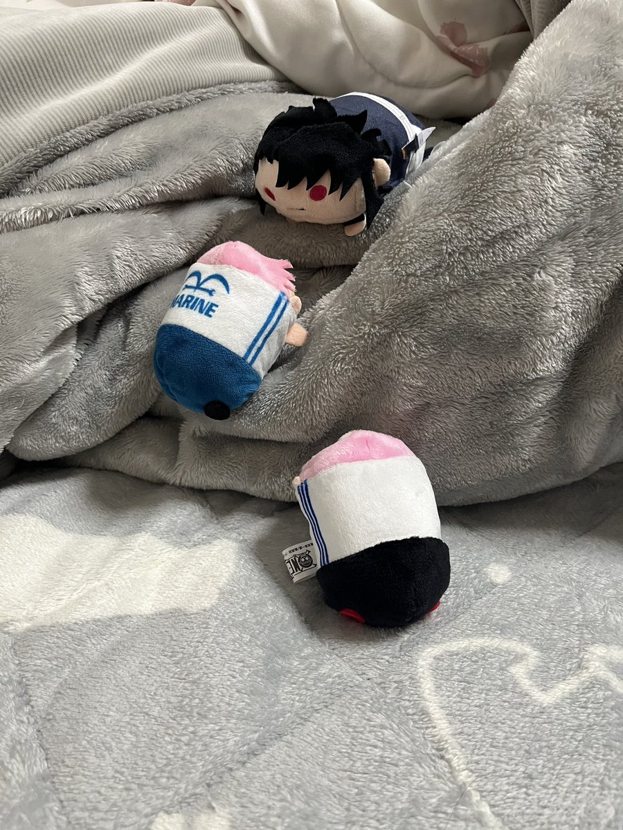 見て　推しと推しと推しが布団を登頂している写真