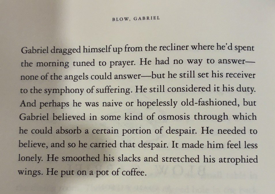 Adam Wilson tweet media