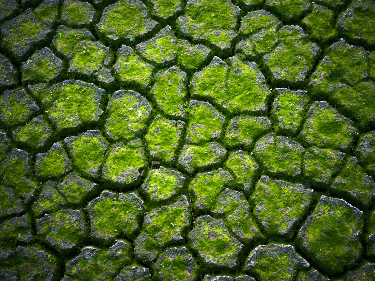 地球のさまざまな場所で、大地はそれぞれ異なる表情を育んでいます