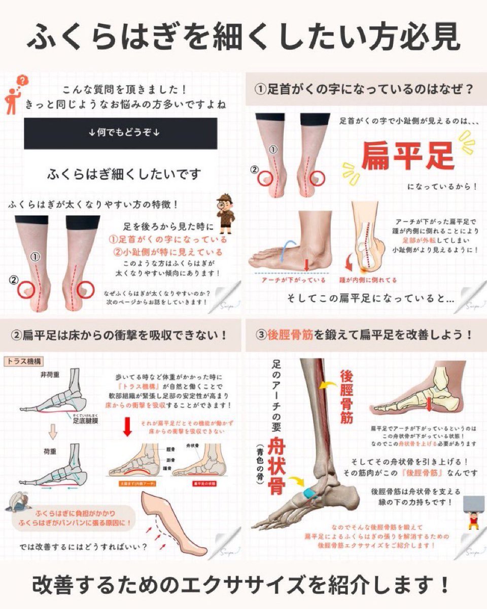 RISA@姿勢改善トレーナー tweet media