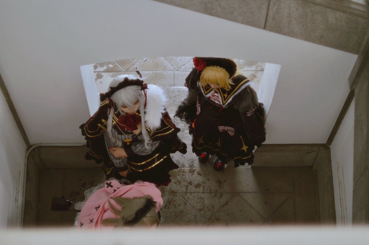 cos / ʟᴏꜱᴇʀ ᴋɪɴɢꜱ #010photo