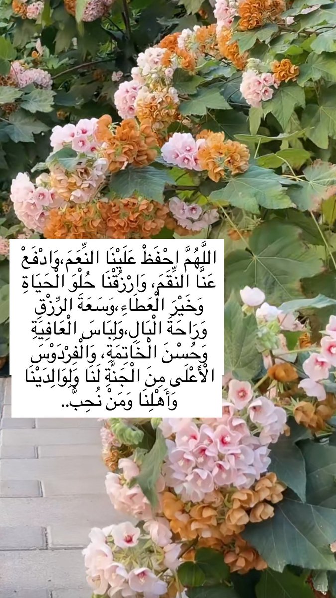 اللهم بلغنا رمضان، وبارك لنا فيه،
اللهم بلغنا صلاة التراويح، وتقبلها منا 
واجعلنا فيه من الفائزين...

اللهم سلمنا لرمضان، وسلم رمضان لنا، وتسلمه منا متقبلاً..
#ساعه_استجابه 
#اللهم_ارحم_موتانا_وموتى_المسلمين 
#اللهم_صل_وسلم_على_نبينا_םבםבﷺ