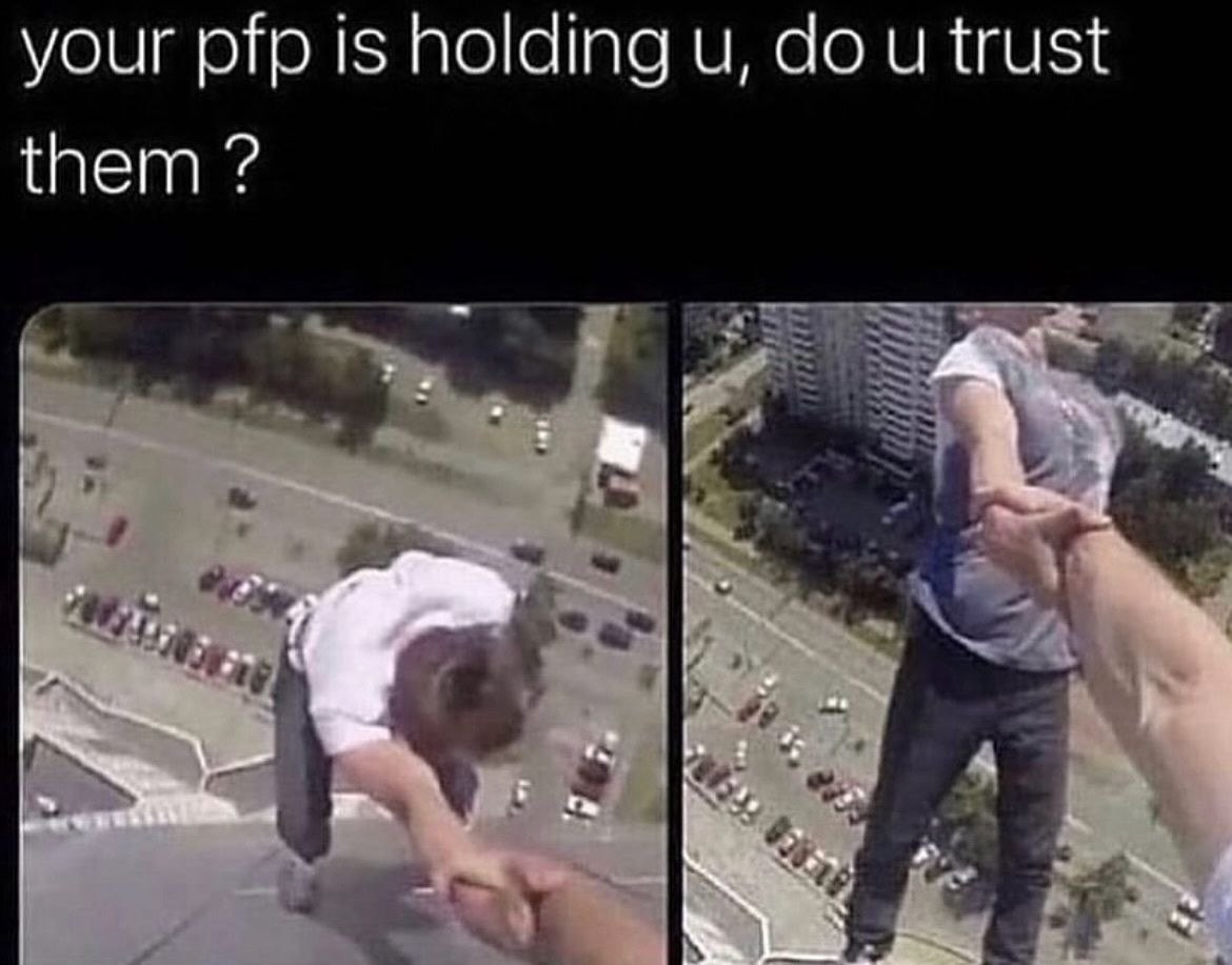 Braindead Bird App tweet media