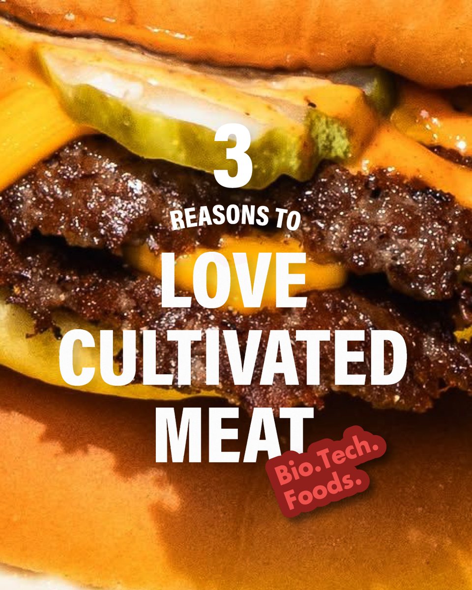 BioTech Foods tweet media