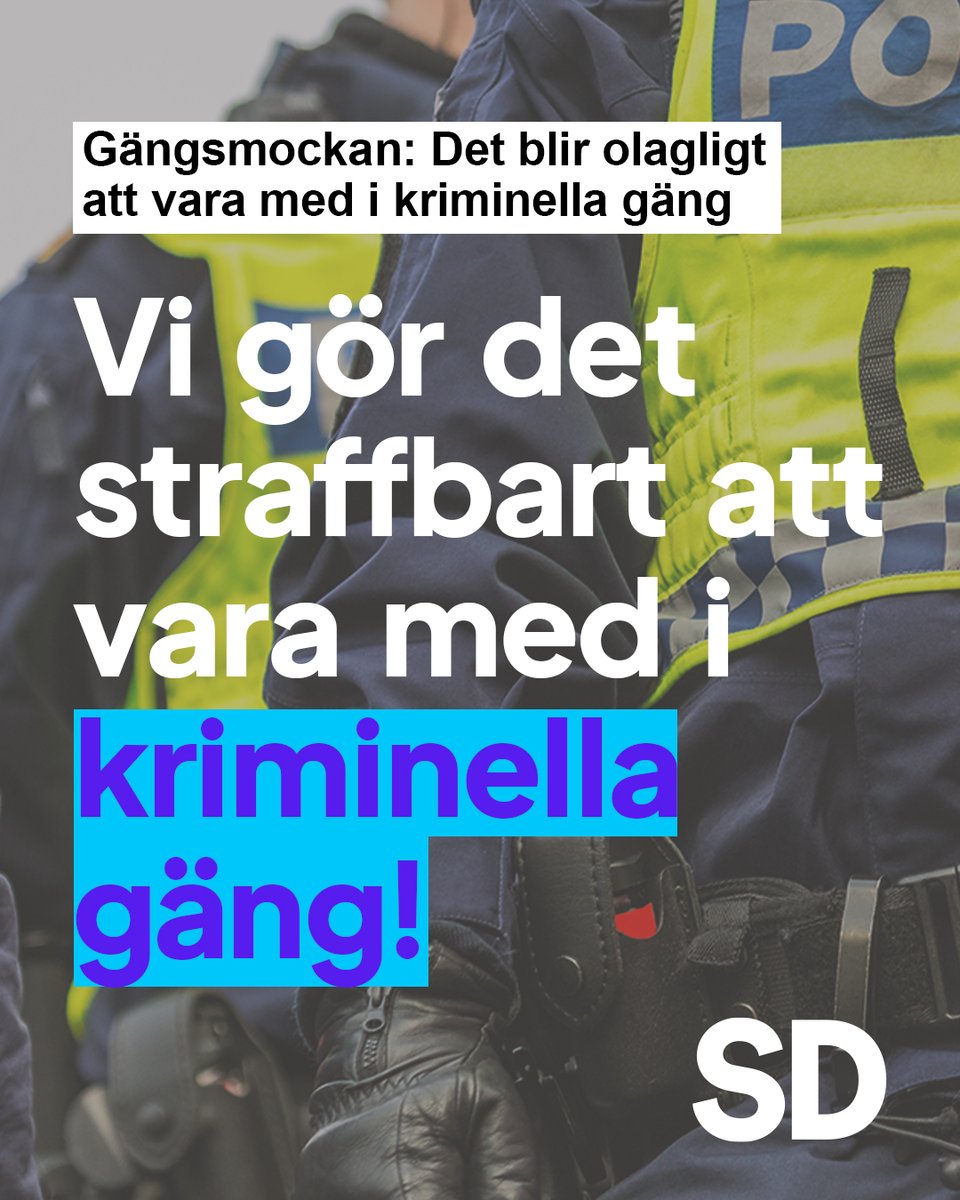 Sverigedemokraterna tweet media