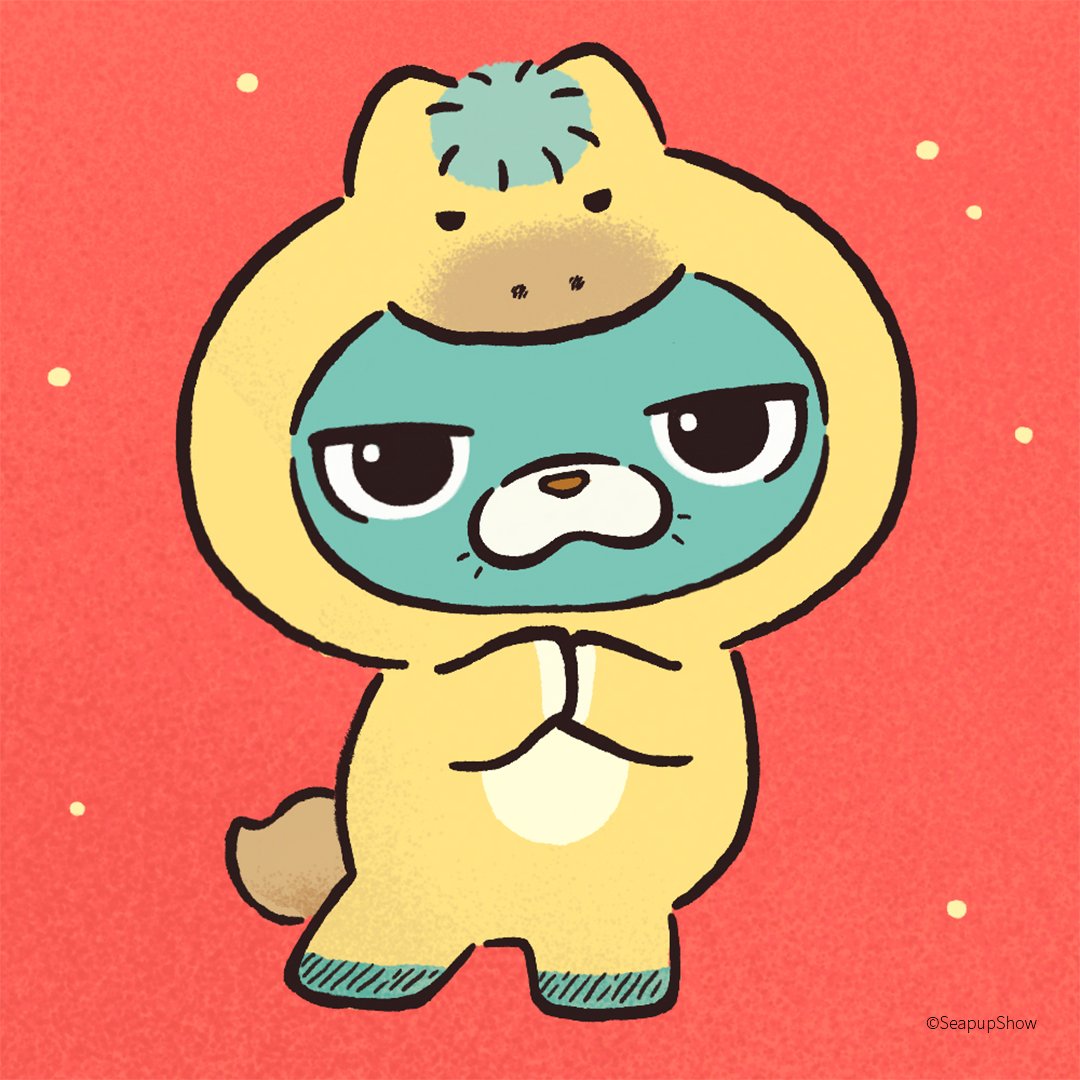 Seapup Show 這是海豆 tweet media