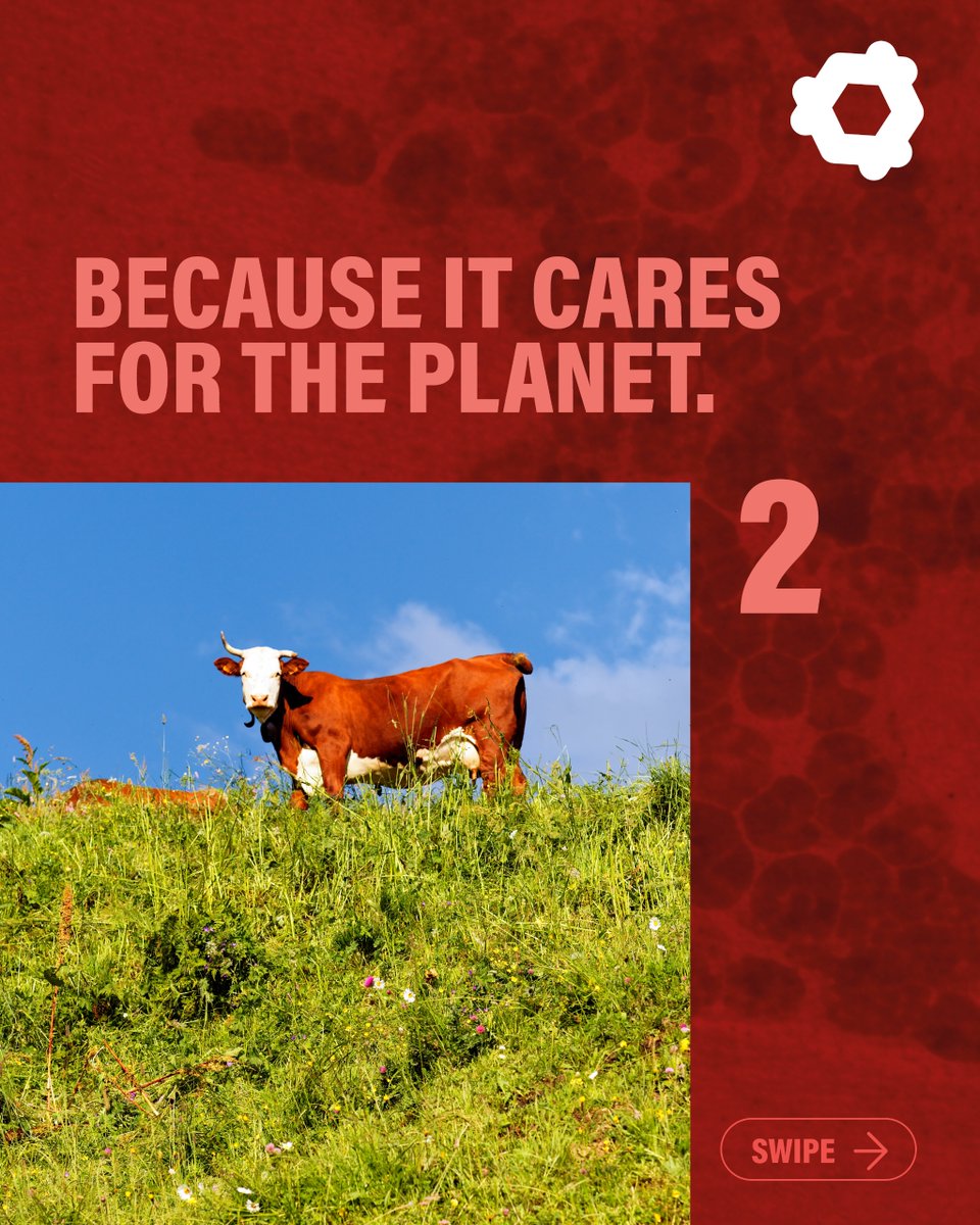 BioTech Foods tweet media