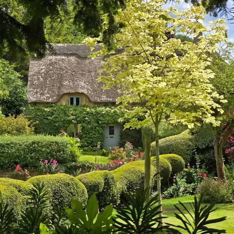 Cutest Cottages🏡🫖🪻 tweet media