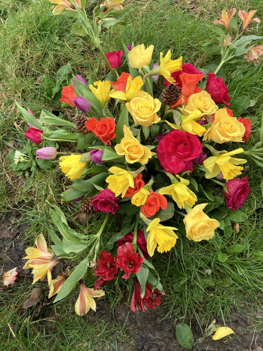 Moppy_schilt tweet media