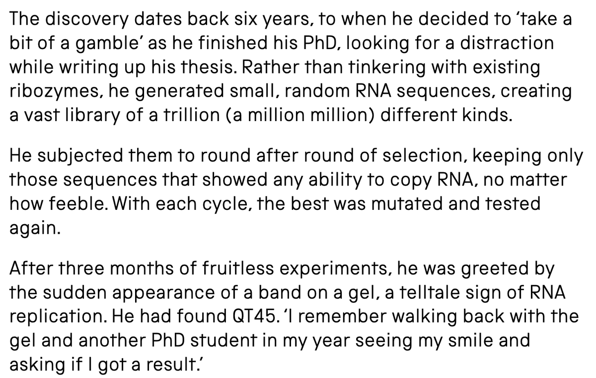 Nico Collignon tweet media