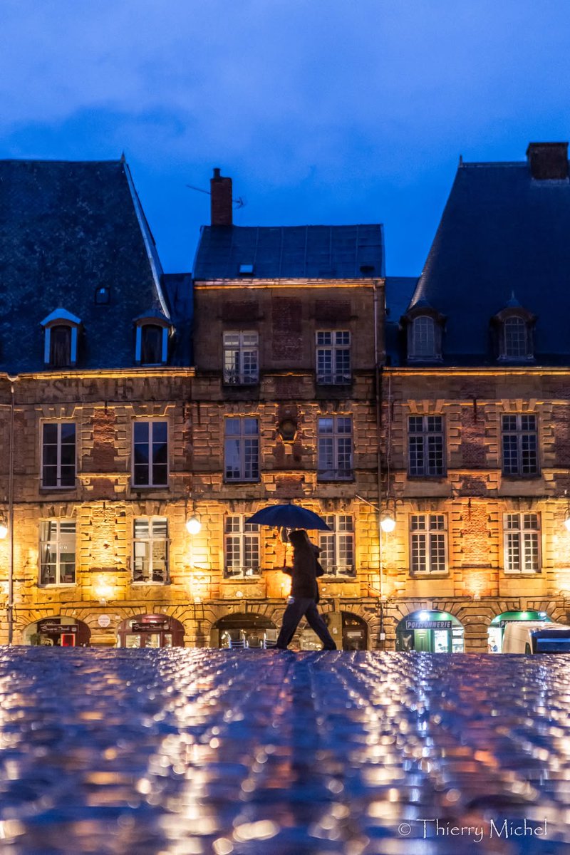 Thierry michel photographie tweet media