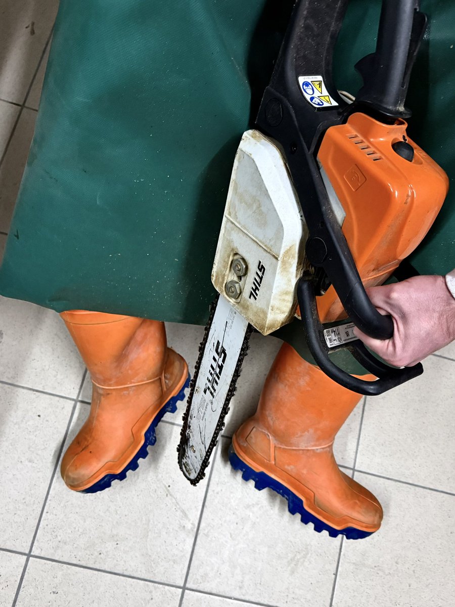 ItalianWorkerboy tweet media