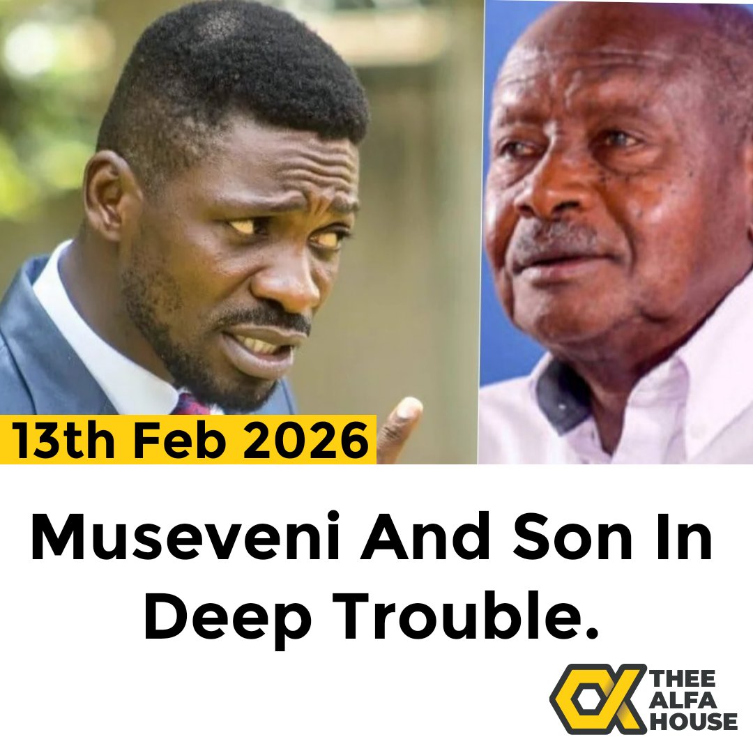 THEE ALFA HOUSE tweet media