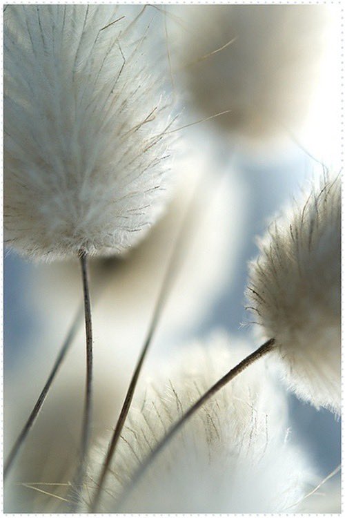 StrongBlockchain™️ tweet media