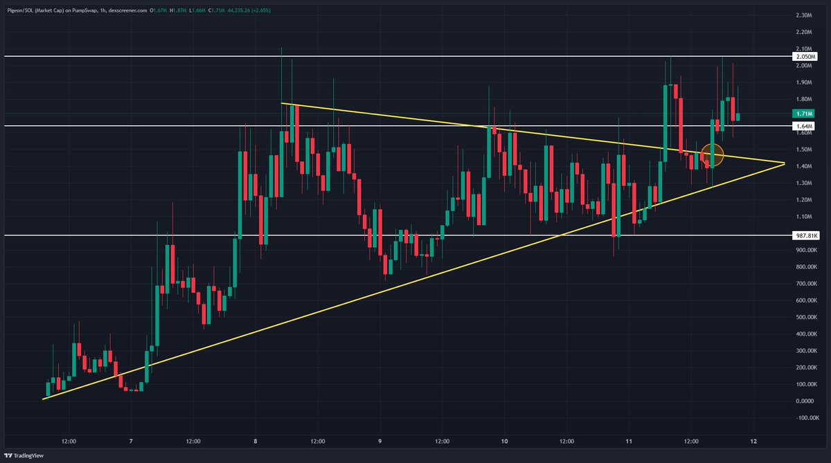 𝗧𝗲𝗿𝗿𝘆 ✭ tweet media