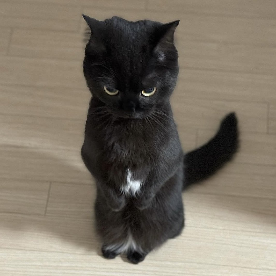 Jyé (@rockstarwonseok) on Twitter photo 