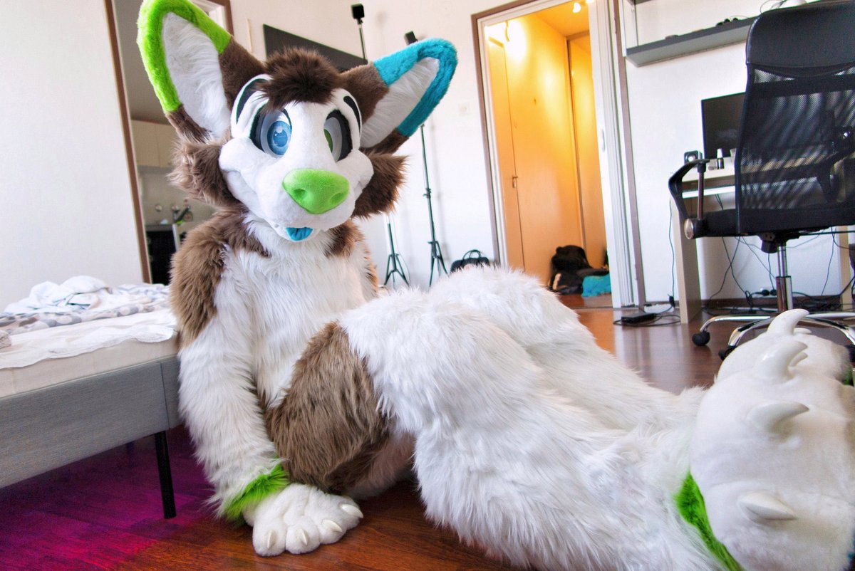 Nowi 🔜 AWOO 🇦🇹 tweet media