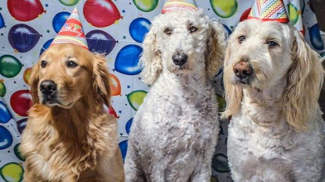 Observa360's tweet image. Hijos: caída de la natalidad y deseo sin raíces

elobservadornews.com.ar/hijos-caida-de…