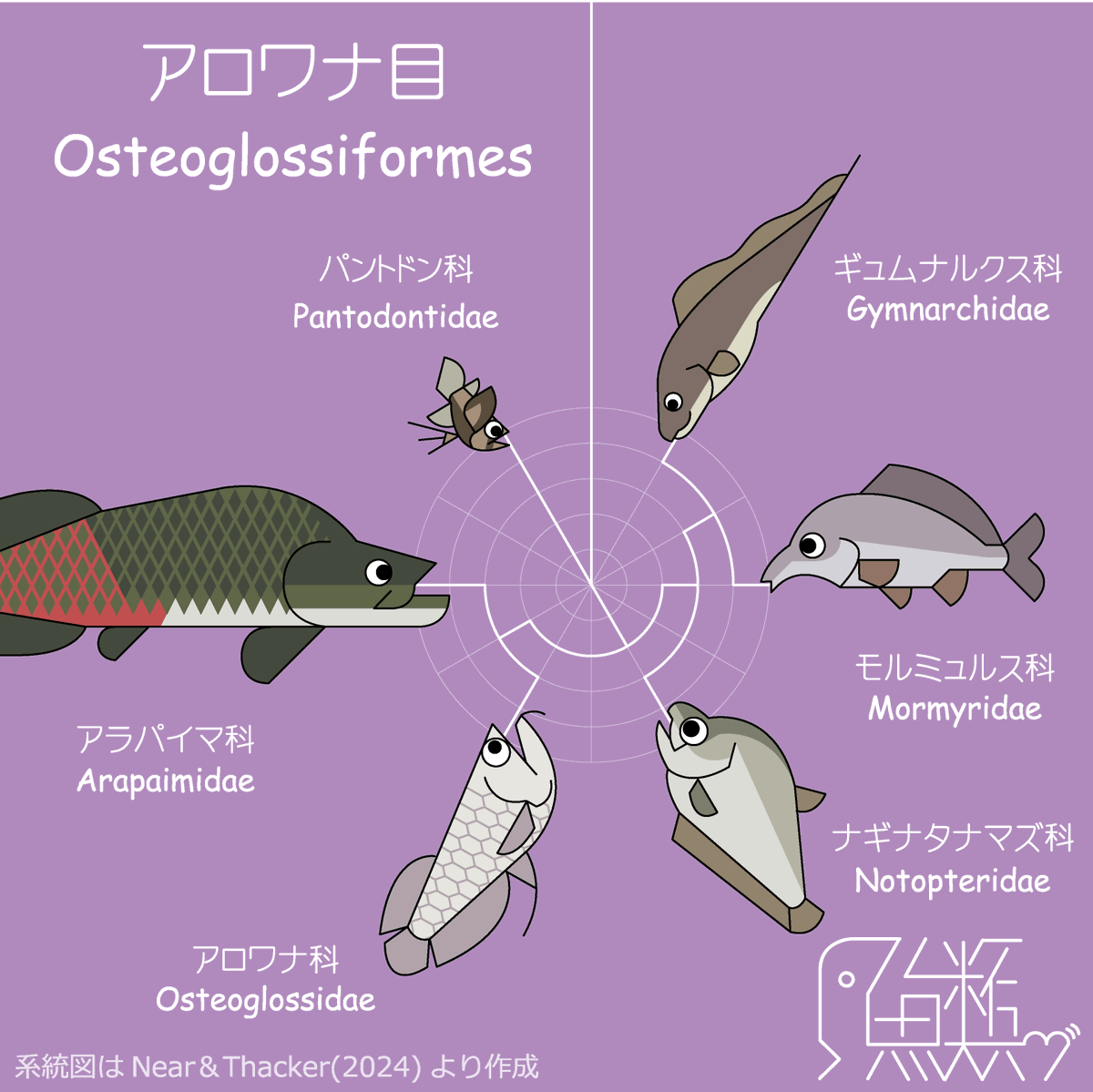 ゆるアロワナ目