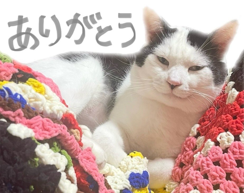 オイル富🪤 tweet media