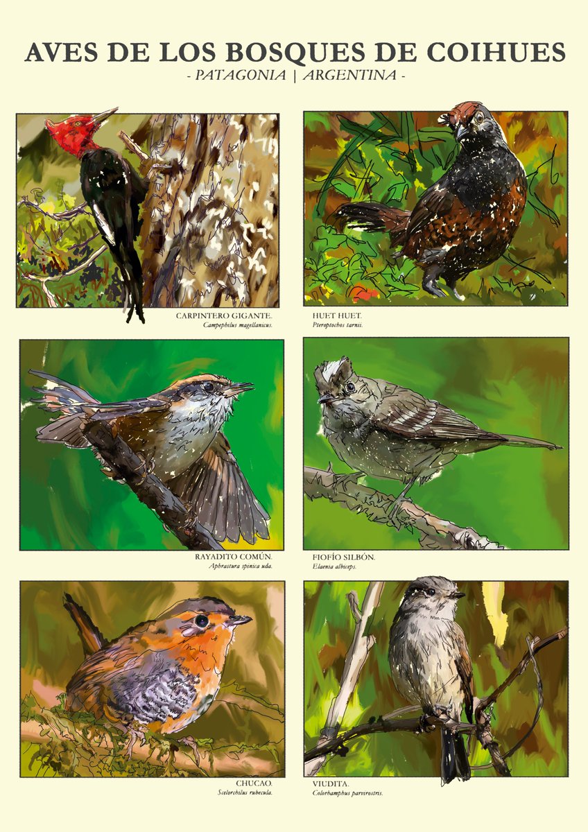 Rafa Perczyk tweet media