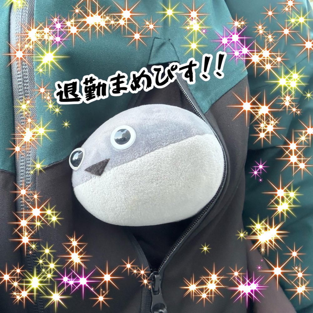 まめた@ 2/8 WF 4-24-05 まめルート工房 (@mametacos) / Posts / X