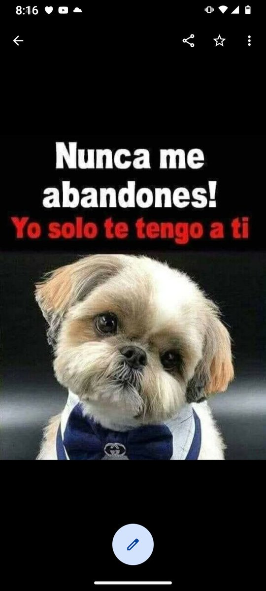 Luisgranate3's tweet photo. No lo hagas nunca, somos su familia! ❤️🤗🤗 https://t.co/CfBv3v68uT